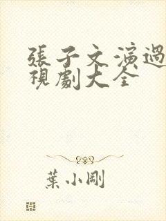 张子文演过的电视剧大全