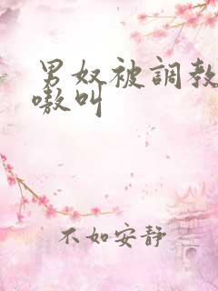 男奴被调教的嗷嗷叫