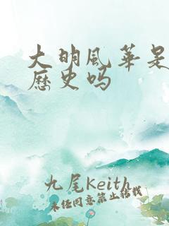 大明风华是真实历史吗