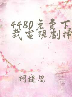 4480免费下栽电视剧扫毒风暴