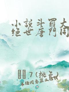 小说斗罗大陆2绝世唐门同人