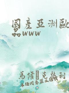 国产亚洲欧美精品www