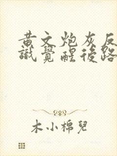 黄文炮灰反派意识觉醒后路十七海棠