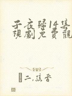 子夜归14集电视剧免费观看全集高清