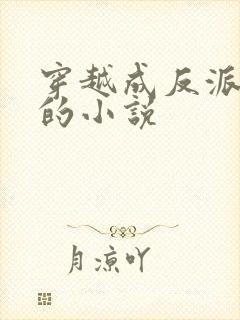 穿越成反派后娘的小说