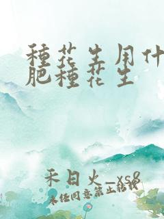 种花生用什么化肥种花生