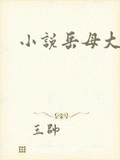小说岳母大人