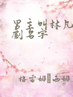 男主叫林凡的短剧名字