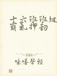 十六班班级口号霸气押韵