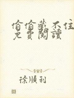 偷偷藏不住完本免费阅读