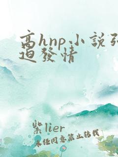 高hnp小说强迫发情