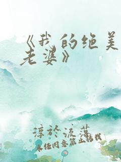 《我的绝美总裁老婆》