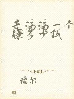 走滴滴一个月能赚多少钱