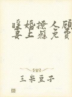 暖婚撩人顾少宠妻上瘾免费阅读