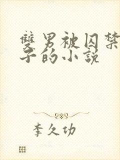 双男被囚禁还生子的小说