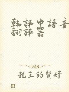 韩译中语音在线翻译器