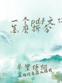 一个pdf文件怎么拆分