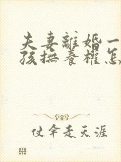 夫妻离婚一个小孩抚养权怎么判