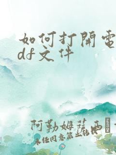 如何打开电脑pdf文件
