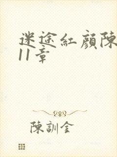 迷途红颜陈梦洁11章