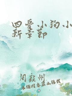 四爱小狗小说最新章节