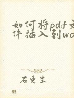 如何将pdf文件插入到word里面