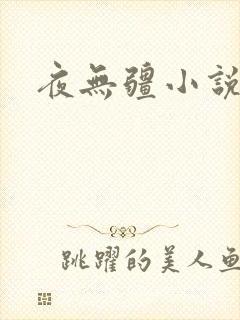 夜无疆小说最新
