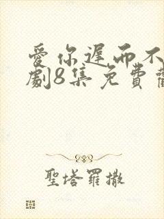 爱你迟而不晚短剧8集免费观看