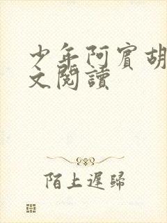 少年阿宾胡太全文阅读