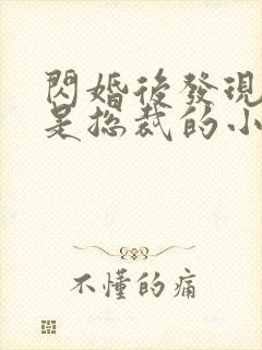 闪婚后发现老公是总裁的小说