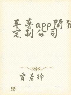 平台app开发定制公司