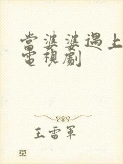 当婆婆遇上的妈电视剧