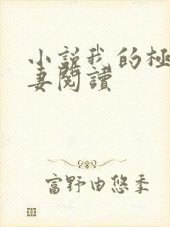 小说我的极品娇妻阅读