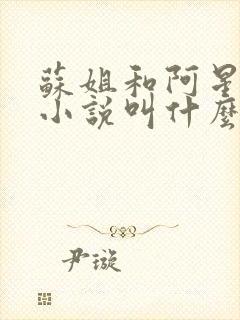苏姐和阿星原著小说叫什么