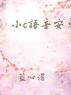 小c语音安卓版