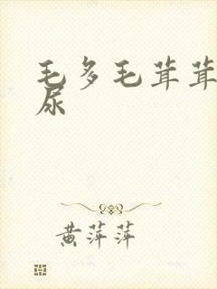 毛多毛茸茸的撒尿