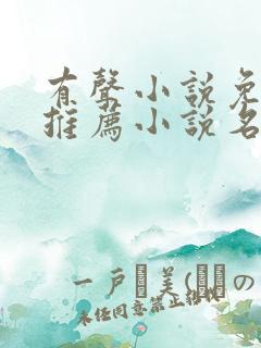 有声小说免费听推荐小说名
