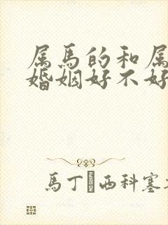 属马的和属兔的婚姻好不好