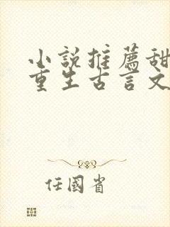 小说推荐甜宠文重生古言文