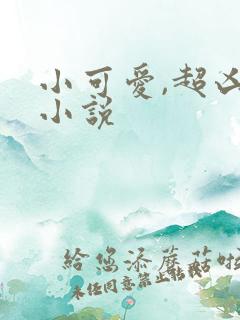 小可爱,超凶的小说