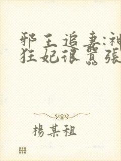 邪王追妻:神医狂妃很嚣张
