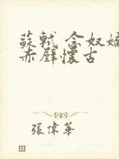 苏轼 念奴娇.赤壁怀古
