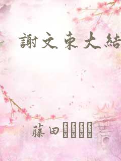 谢文东大结局