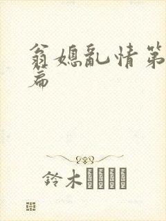 翁媳乱情第十三篇