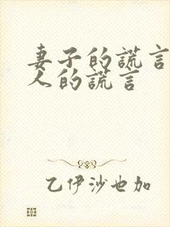 妻子的谎言 爱人的谎言
