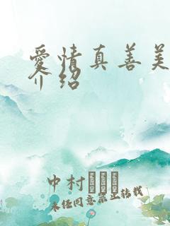 爱情真善美剧情介绍