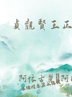 贞观贤王正版