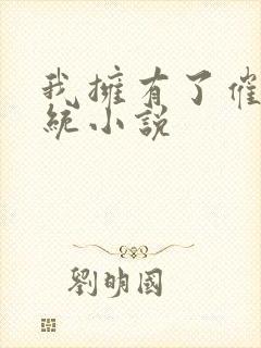 我拥有了催眠系统小说