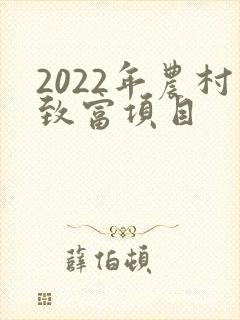 2022年农村致富项目