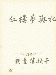 红楼梦与北静王
